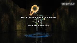 The Ethereal Body of Flowers & Flow Reaches Far