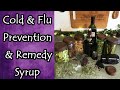 Cold & Flu Prevention/Remedy Syrup Recipe