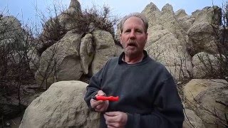 Sharpens Best Knife Sharpeners