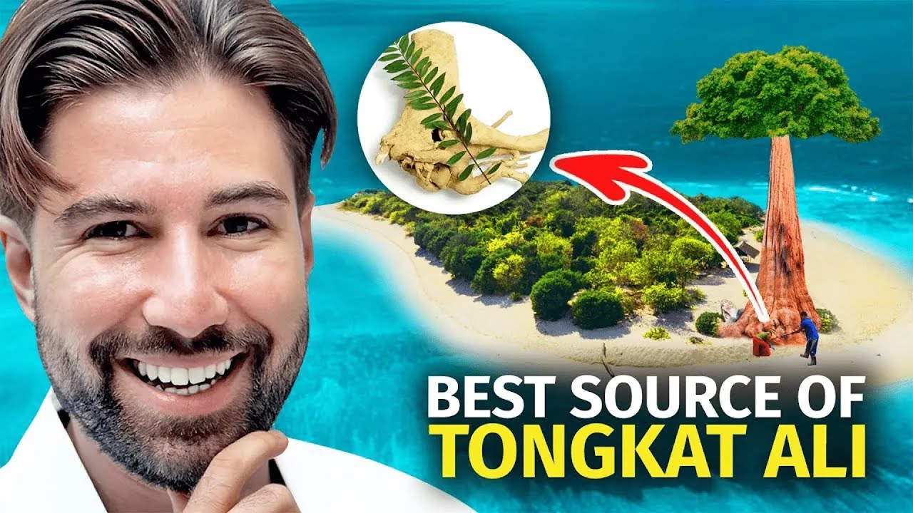 Best Tongkat Ali Supplement to Increase Testosterone (Proven Results) YouTube