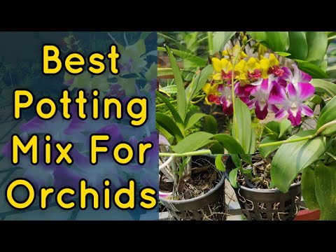 what soil to choose for orchids