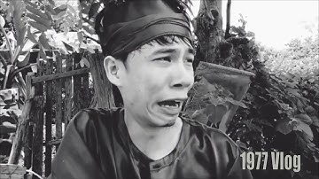 Cậu Vàng Đi Rồi Ông Giáo À