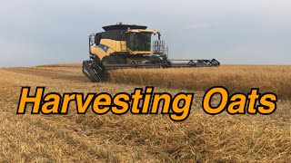 How To Harvest Oats| FARM LIFE IN AMERICA