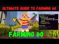 The Ultimate Guide to Farming 60 | Hypixel Skyblock
