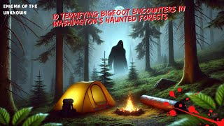 10 Terrifying Bigfoot Encounters in Washington's Haunted Forests