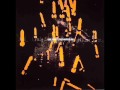 Miniature de la vidéo de la chanson Experimento