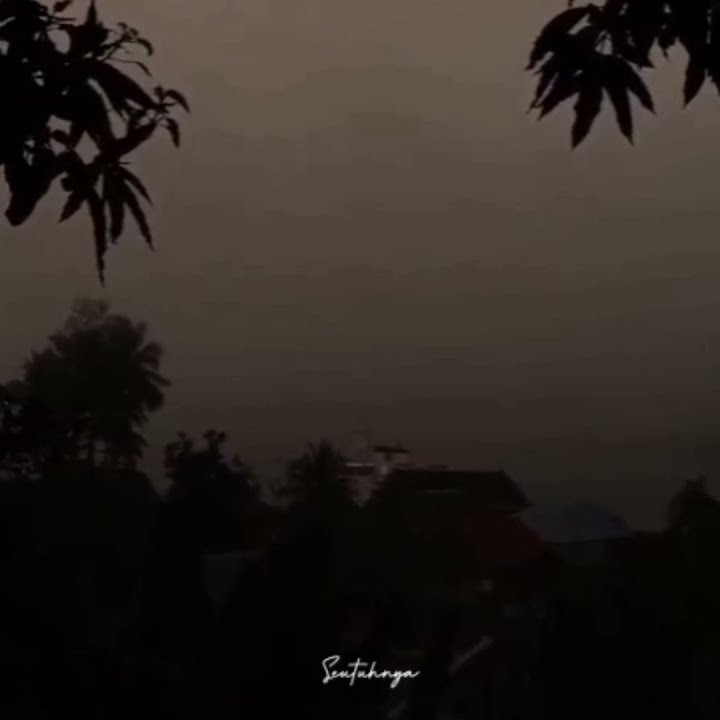 Walau Ku Tak Akan Bisa Untuk Memilikmu Seutuhnya || Cover by @its.afdhalk