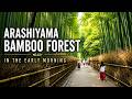 Arashiyama Bamboo Forest In The Early Morning | Kyoto Walking Tour 4K