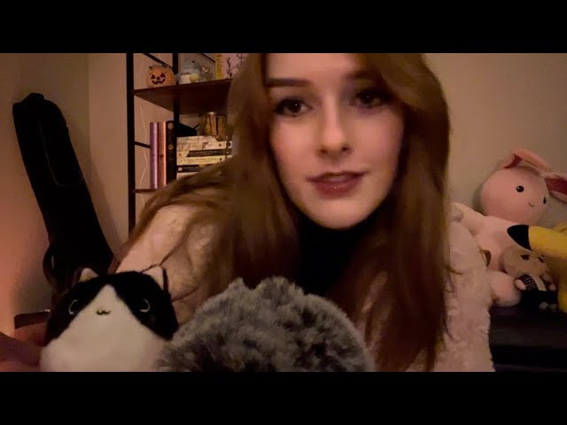 an entire ASMR video about my cat