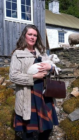 Baby Lamb Meets Older Sheep For 1st Time! #scotland #Scottish #highlands #UK #sheep #lambs #farming