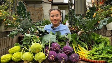 Thu hoạch bông cải, su su, su hào xanh tím, cải cầu vòng, cải ngồng, rau cần & hoa cải #1310