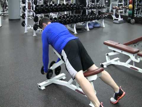 Incline Reverse Fly Exercise Com