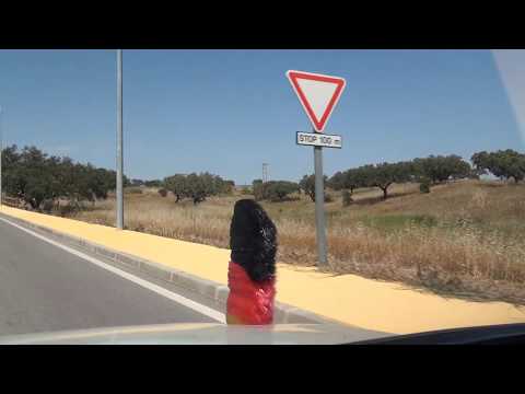 Portela do Lobo Campo de Guerreiros Aldeia dos Palheiros Ourique IC1 E01 Portugal 24.5.2017 #1199