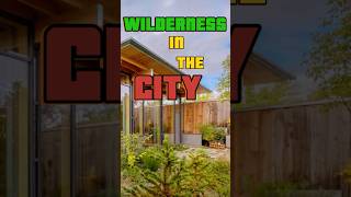 Famous Inside Seattle’s Net-Zero URBAN CABIN Wealth