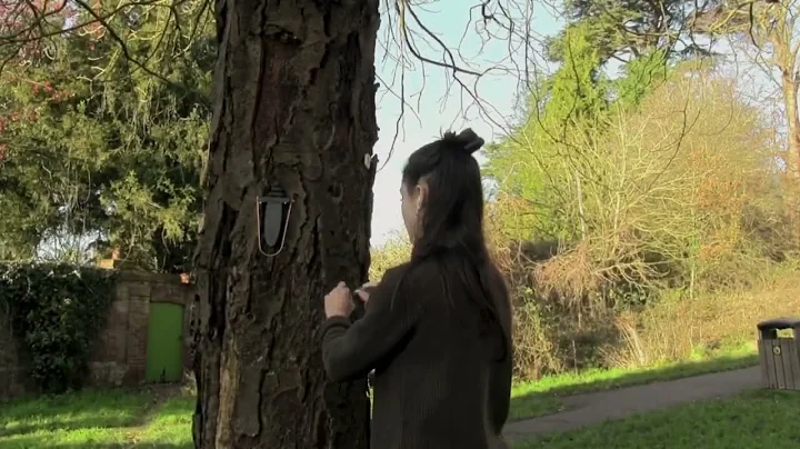 "Seeking Nature" - interactive installation by Ali...