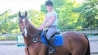 Alfies first training show [Inc Fall]