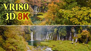 8K 3D VR180 ] 紅葉を迎えた「白糸の滝・音止の滝」（静岡県 富士宮市