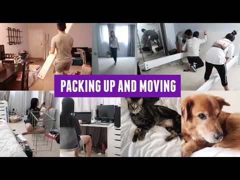 Видео: Packing and Moving Back to Las Vegas