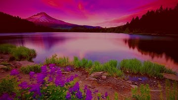 أجمل تلاوة مشاري العفاسي سورة النبأ عام 1427