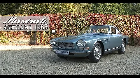 MASERATI SEBRING - 1965 | GALLERY AALDERING TV