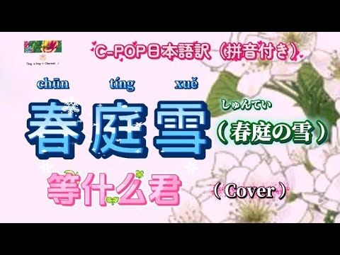 和訳❄️春庭雪（春庭の雪）❄️等什么君（Cover） C-POP日本語訳（拼音付き） 動態歌詞
