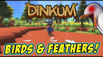 How to Capture Birds & Collect Feathers - Dinkum