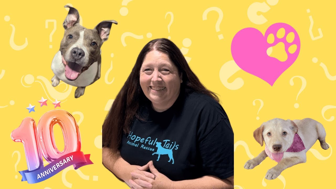 15 Questions With Hopeful Tails Animal Rescue's President