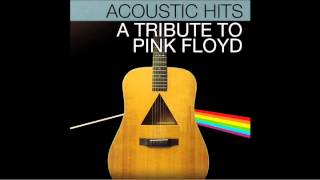 Video thumbnail of "Pink Floyd "Brain Damage" Acoustic Hits Cover Full Song"