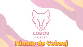 Himno de Cobaej con letra