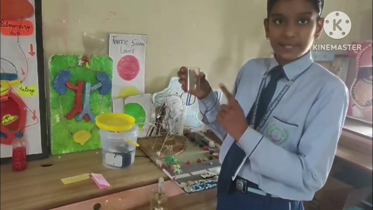 Science Experiment Distinguish Between Acid And Base By Using Turmeric science-experiment-distinguish-between-acid-and-base-by-using-turmeric