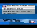 Rabid bat confirmed in downtown Greenville