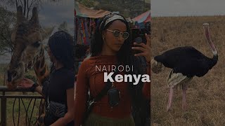 MY TRIP TO NAIROBI KENYA | Going on a  Safari | Getting Boho Braids + More