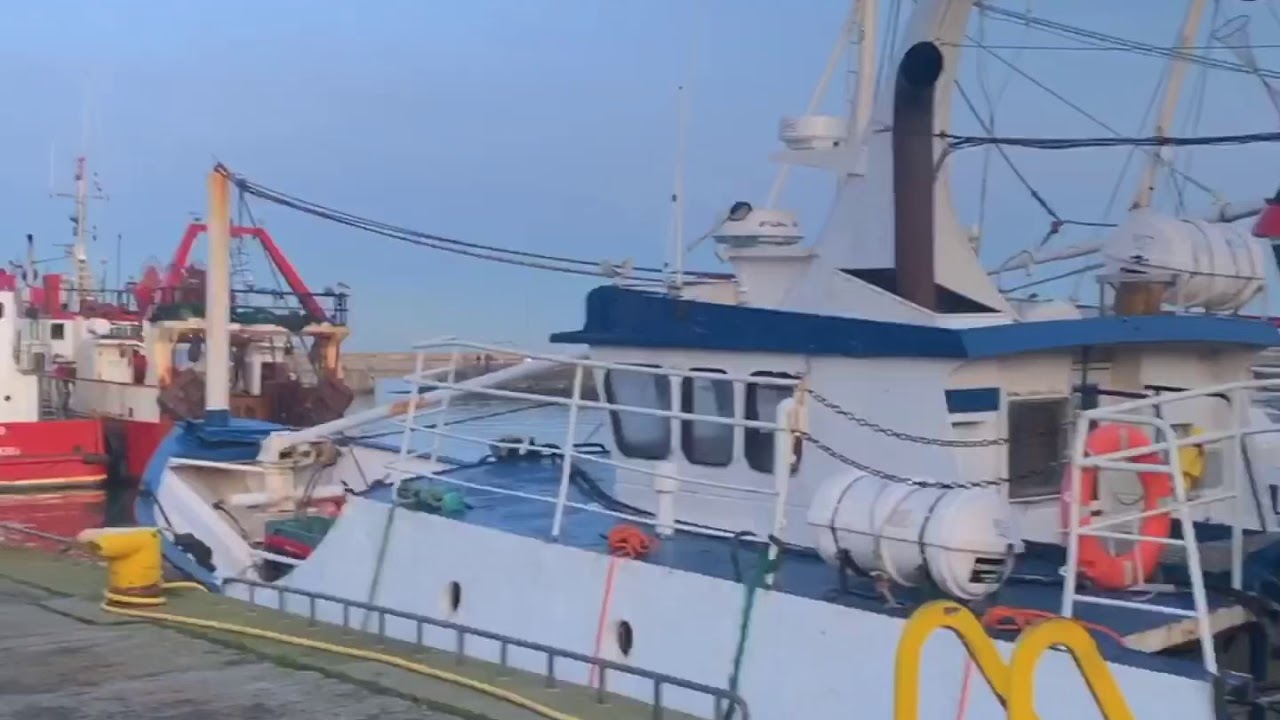 Howth market 海边的小渔市