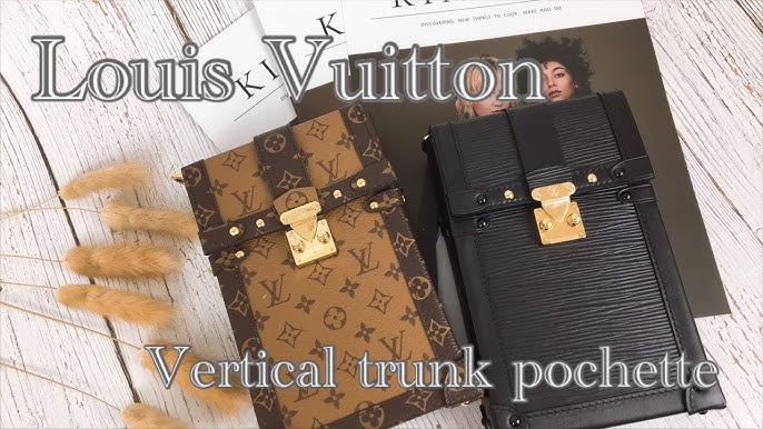 Louis Vuitton Vertical Trunk Pochette (6-month review) 