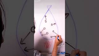 Fun Air Pressure Experiment with Fire and a Balloon! #science #scienceexperiment #physics