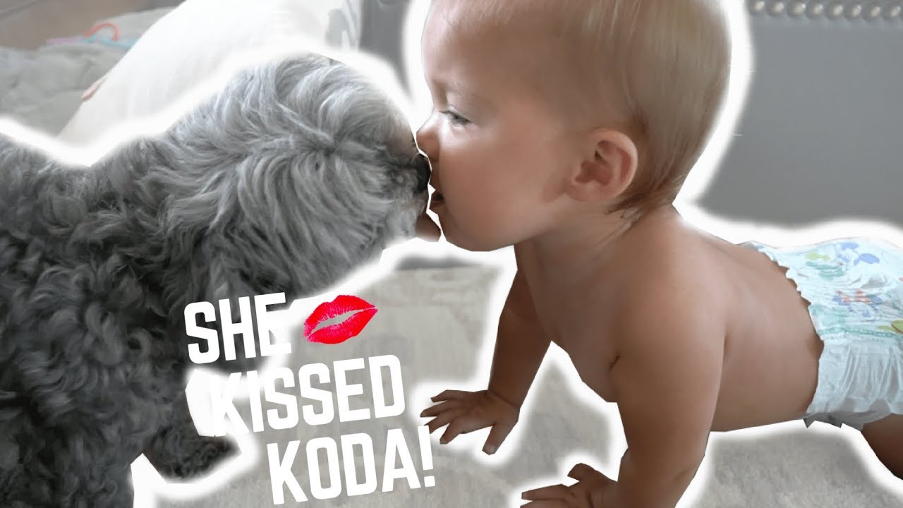 ROAD TRIP KISSES ON KODA (SO CUTE!)