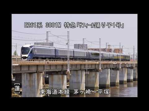 E261系 3001M 特急｢ｻﾌｨｰﾙ踊り子1号｣ 東海道本線 茅ヶ崎～平塚。