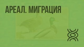 Ареал. Миграция. Видеоурок по биологии 7 класс