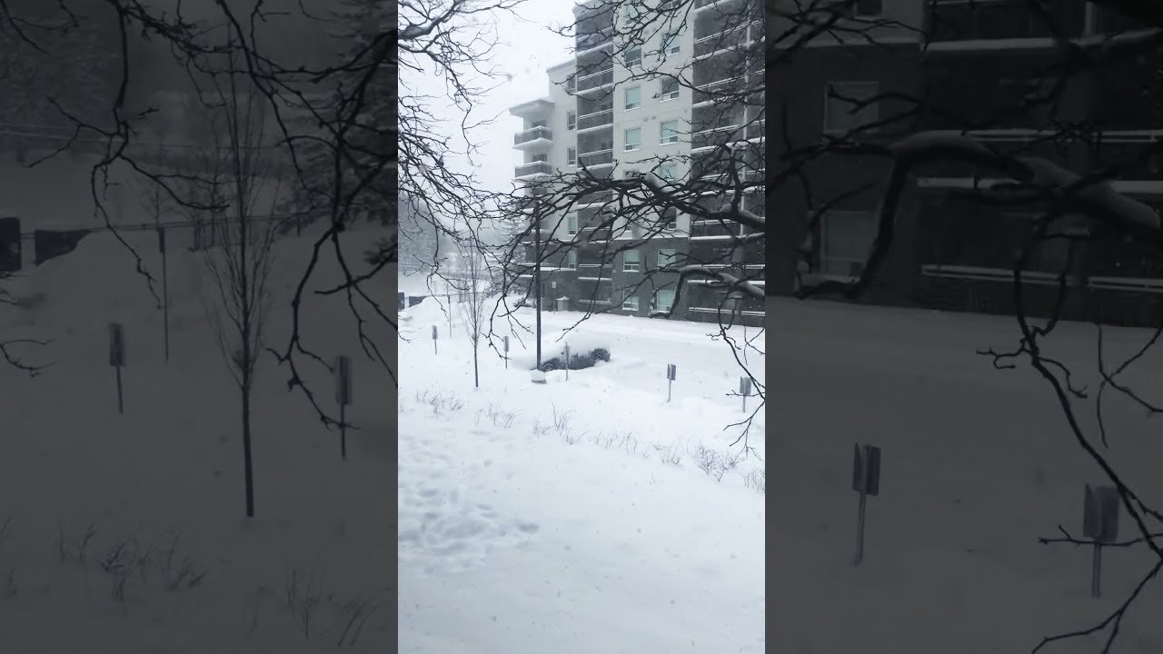 40 cm - Severe snow fall in London,Ontario_Jan2021