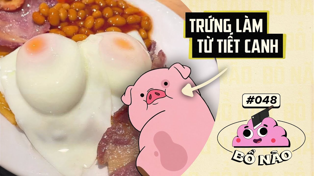 #48 BỔ NÃO: Làm Thế Nào Để HEO Cho Ra TRỨNG?
