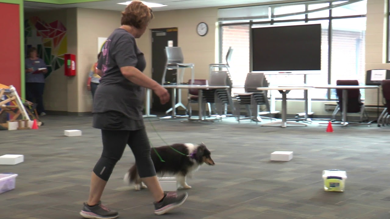 Angela Evers   NW2 Containers   6 23 19