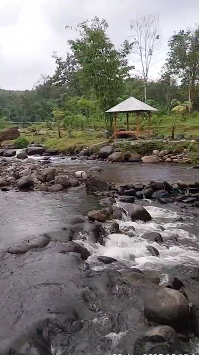 LAGU AJINING DIRI GUMANTONG SOKO LATI