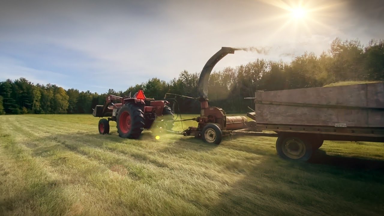Cutting Grass YouTube