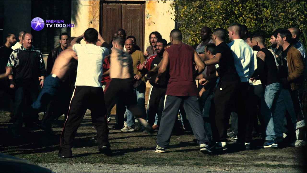 Ржавчина и кость - промо трейлер фильма на TV1000 Premium HD