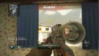 Black Ops: Neat Collateral PSG1