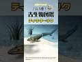 【1日1種!古生物図鑑】ティクターリク #化石 #古代生物