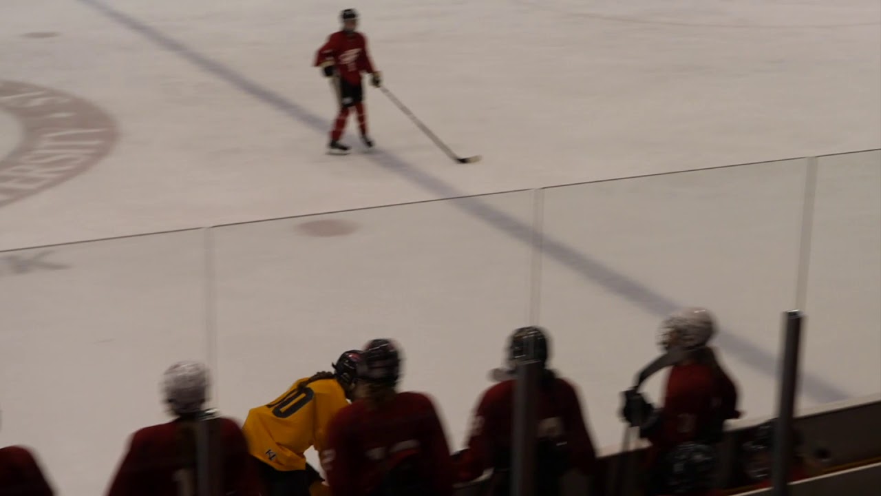 USA Hockey National Team Development Camp Sydney Bryant Highlights Day