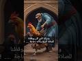 ماذا حدث لطائر الديك الذي كان يؤذن كل صباح 
