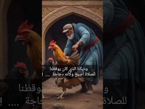 ماذا حدث لطائر الديك الذي كان يؤذن كل صباح 