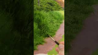 Painting Realistic Grass & Paths  #satisfying #art #painting